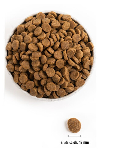 ACANA Adult large breed 11.4  kg