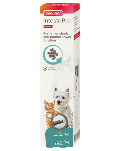BEAPHAR IntestoPro, pasta per favorire la consistenza delle feci, 20 ml, per cani (fino a 15 kg) e gatti