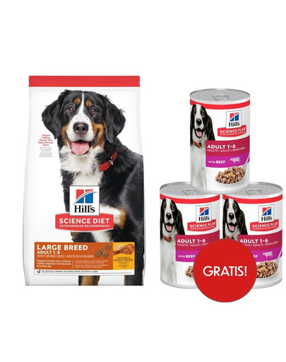HILL'S Science Plan Adult Dog Large Dry Chicken 14kg per cani di razze grandi + 3 scatolette GRATIS