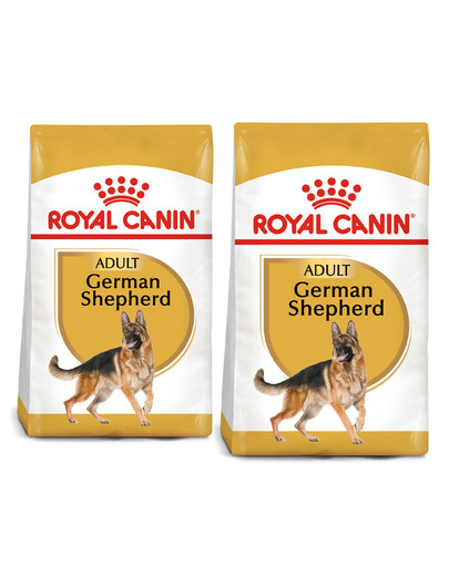 ROYAL CANIN German Shepherd Adult - croccantini per cani adulti di razza pastore tedesco 22kg (2 x 11kg)