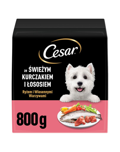CESAR Adult con pollo e salmone 800g cibo secco per cani