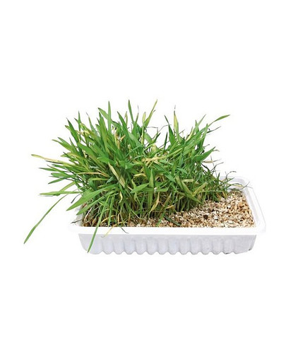 TRIXIE Erba gatto 130 gr