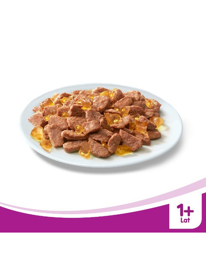WHISKAS Adult Pollo in gelatina 24 x 100g