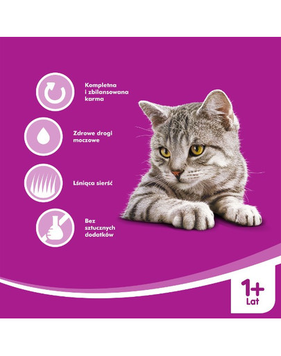 WHISKAS Adult Pollo in gelatina 24 x 100g