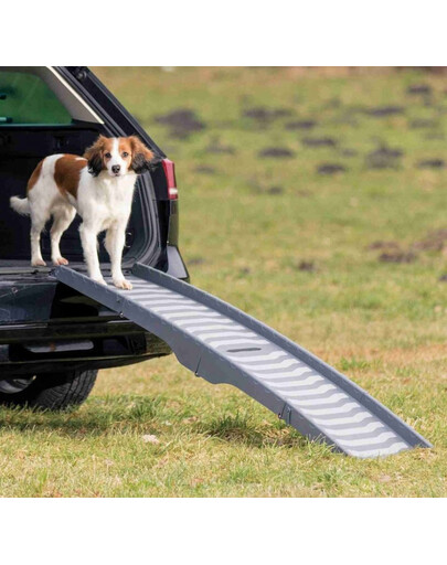 TRIXIE Rampa pieghevole in 3 parti in plastica/TPR 39 × 150 cm