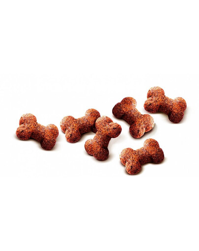 CARNILOVE Crunchy snacks snack croccanti con struzzo e more 200 g