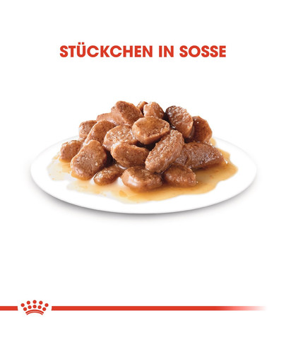 ROYAL CANIN Urinary Care 85g