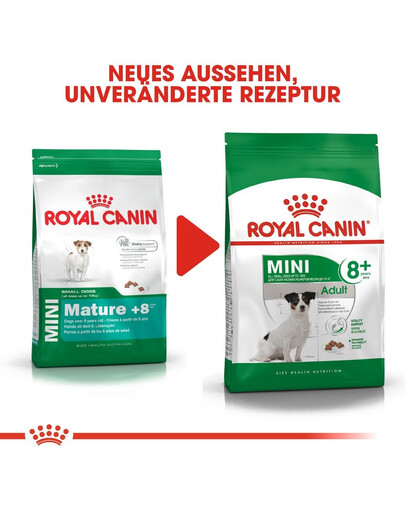 ROYAL CANIN Mini adult 8+ 4 kg cibo secco per cani anziani da 8 a 12 anni di età, razze di piccola taglia