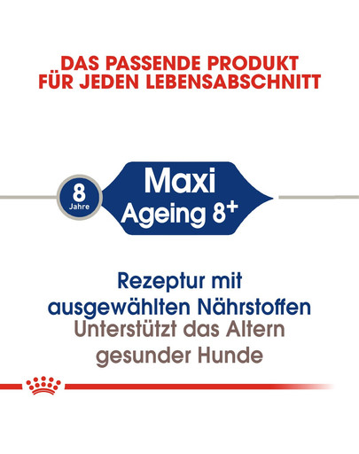 ROYAL CANIN Maxi ageing 8+ 3 kg cibo secco per cani maturi di età superiore agli 8 anni, razze di taglia grande