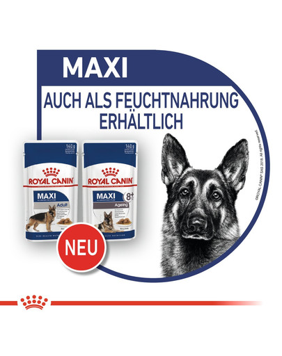 ROYAL CANIN Maxi ageing 8+ 3 kg cibo secco per cani maturi di età superiore agli 8 anni, razze di taglia grande