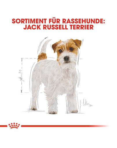 ROYAL CANIN Jack Russell Terrier adult 1.5 kg