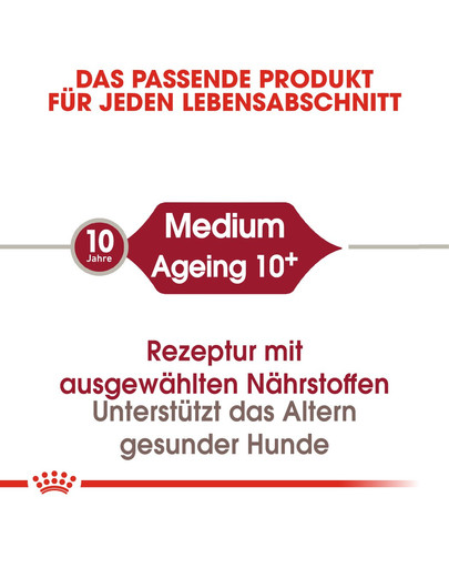 ROYAL CANIN Medium Ageing 10+ 3 kg cibo secco per cani maturi di età superiore ai 10 anni, razze di media taglia