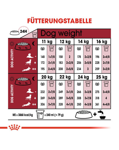 ROYAL CANIN Medium Ageing 10+ 3 kg cibo secco per cani maturi di età superiore ai 10 anni, razze di media taglia