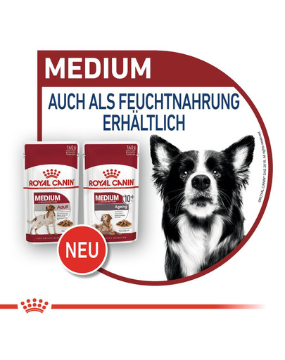 ROYAL CANIN Medium Ageing 10+ 3 kg cibo secco per cani maturi di età superiore ai 10 anni, razze di media taglia