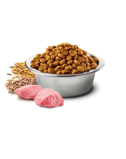 FARMINA N&D low grain chicken & pomegrante adult cat 300gr.