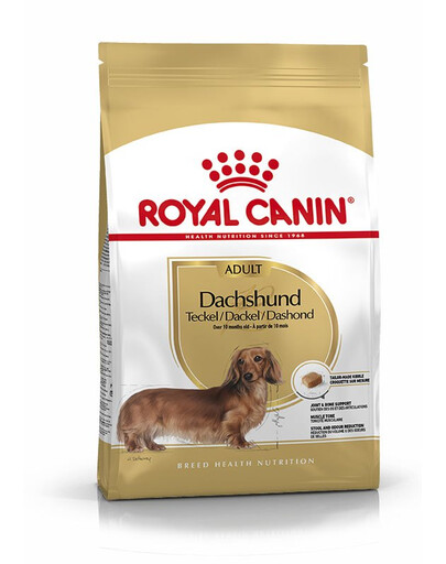ROYAL CANIN Dachshund adult 0.5 kg cibo secco per cani adulti Bassotto