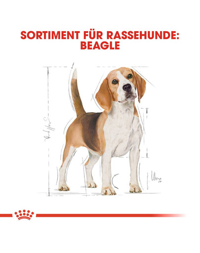 ROYAL CANIN Beagle adult 3 kg