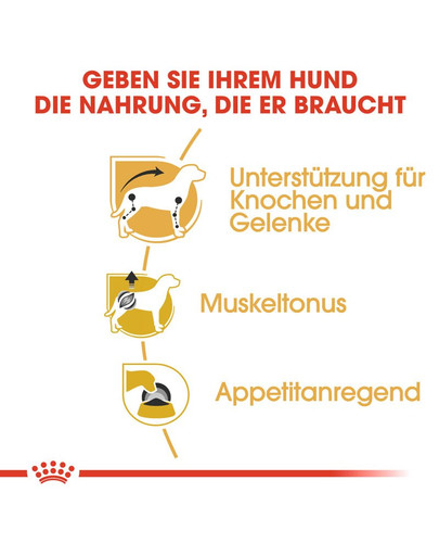 ROYAL CANIN Dachshund 85 Gr