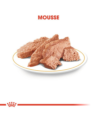 ROYAL CANIN Dachshund 85 Gr