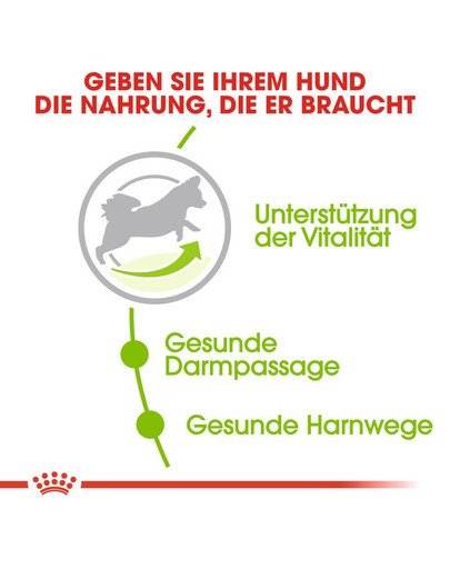 ROYAL CANIN X-Small Adult 8+ 0.5 kg