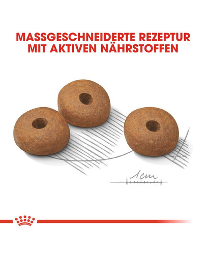 ROYAL CANIN Mini light weight care 1 kg