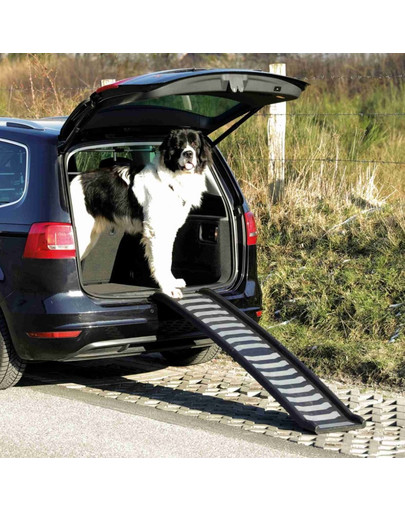 TRIXIE Rampa pieghevole in plastica e TPR 39 × 160 cm