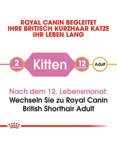 ROYAL CANIN Kitten british shorthair 10 kg