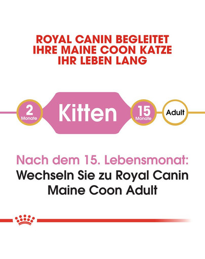 ROYAL CANIN Kitten Maine Coon 0.4 kg