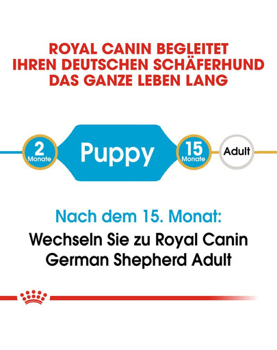ROYAL CANIN German Shepherd junior 12 kg