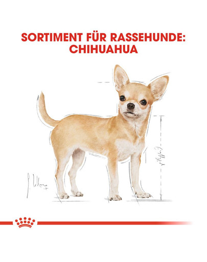 ROYAL CANIN Chihuahua Adult 12 x 85g