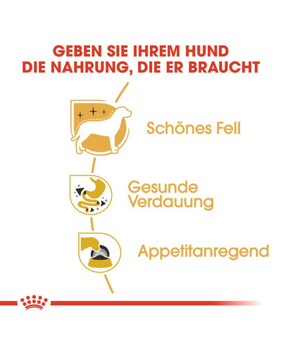 ROYAL CANIN Chihuahua Adult 12 x 85g