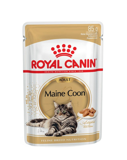 ROYAL CANIN Mainecoon 12 x 85 g