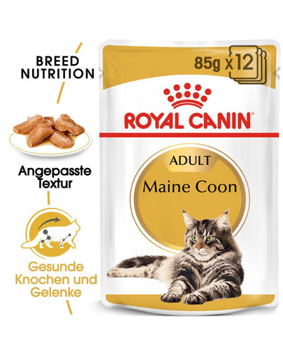 ROYAL CANIN Maine Coon Adult 85g