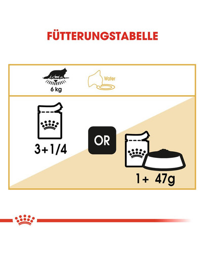 ROYAL CANIN Mainecoon 12 x 85 g