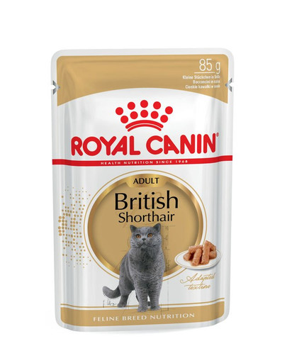 ROYAL CANIN British Shorthair 85 g bustina 12 x 85 g