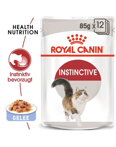 ROYAL CANIN INSTINCTIVE 85 g
