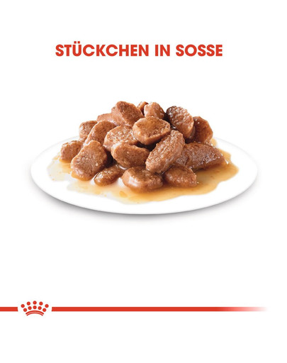 ROYAL CANIN INSTINCTIVE 7+ in salsa 12 x 85 g