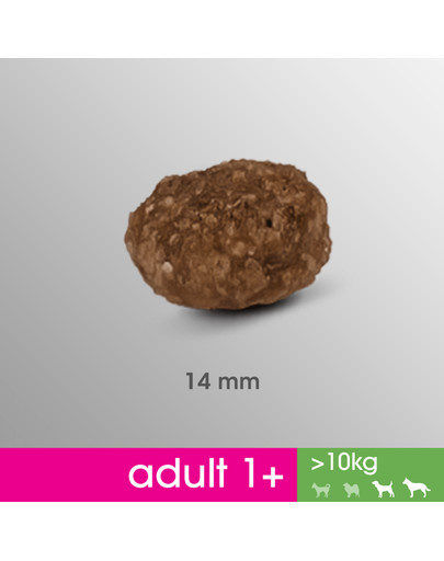 PERFECT FIT Perfect Fit Alimento secco per razze medie e grandi Pollo 2,6kgx3