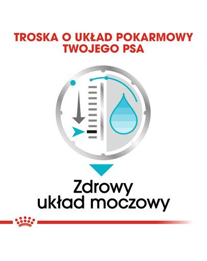 ROYAL CANIN Urinary Care 85 g x 12