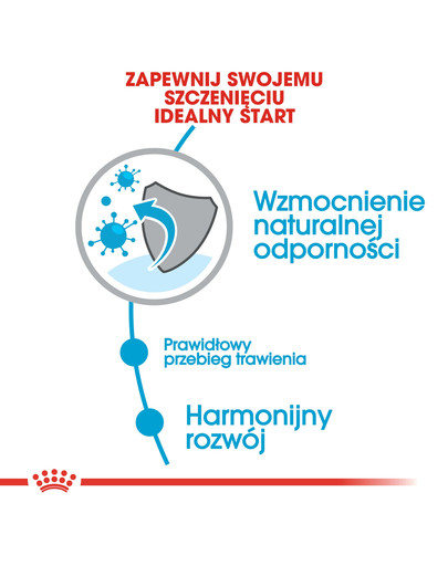 ROYAL CANIN Mini Puppy / Junior 8 kg + Mini puppy 12x85 g