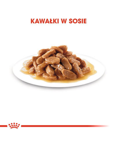 ROYAL CANIN Mini Puppy / Junior 8 kg + Mini puppy 12x85 g