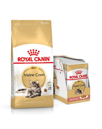ROYAL CANIN Maine Coon Adult 10kg + umido Mainecoon 12x85 g