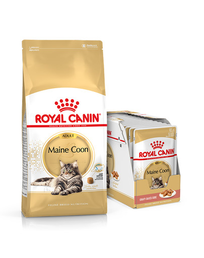 ROYAL CANIN Maine Coon Adult 10kg + umido Mainecoon 12x85 g