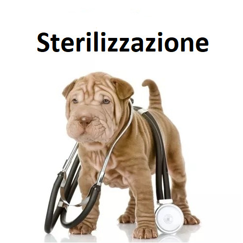 Sterilizzazione