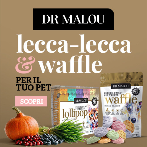 DR MALOU waffle e lecca-lecca liofilizzati