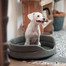 FERA Letto ovale per cani 66x55x17 cm grigio