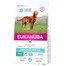EUKANUBA Daily Care Adult Sensitive Digestion All Breeds Chicken Apparato digerente sensibile 2,3 kg