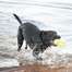 KONG Squeaker Football M 125 mm