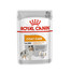 ROYAL CANIN Coat Care Paté 12 x 85 g