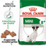 ROYAL CANIN Mini Adult 8+ 800 g per cani anziani da 8 a 12 anni di età, razze di piccola taglia x 15